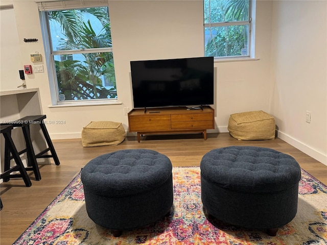 living room with hardwood / wood-style flooring