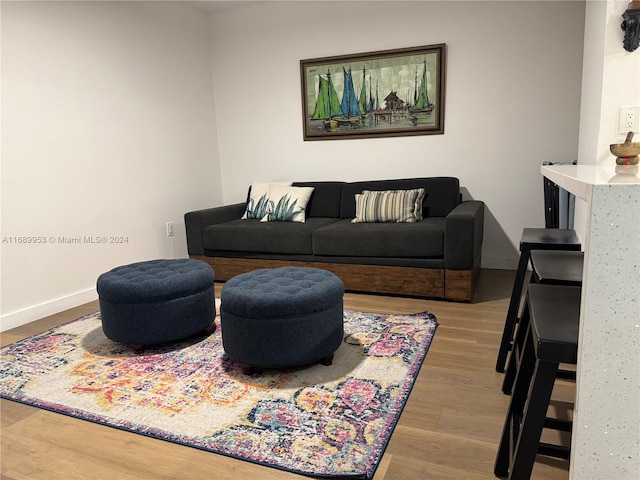 living room featuring hardwood / wood-style floors