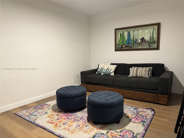 living room featuring hardwood / wood-style floors