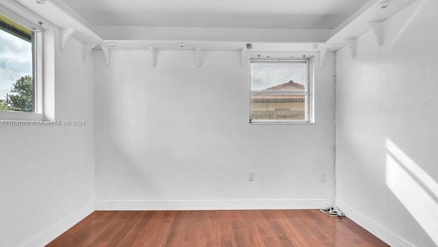 walk in closet featuring dark wood-type flooring