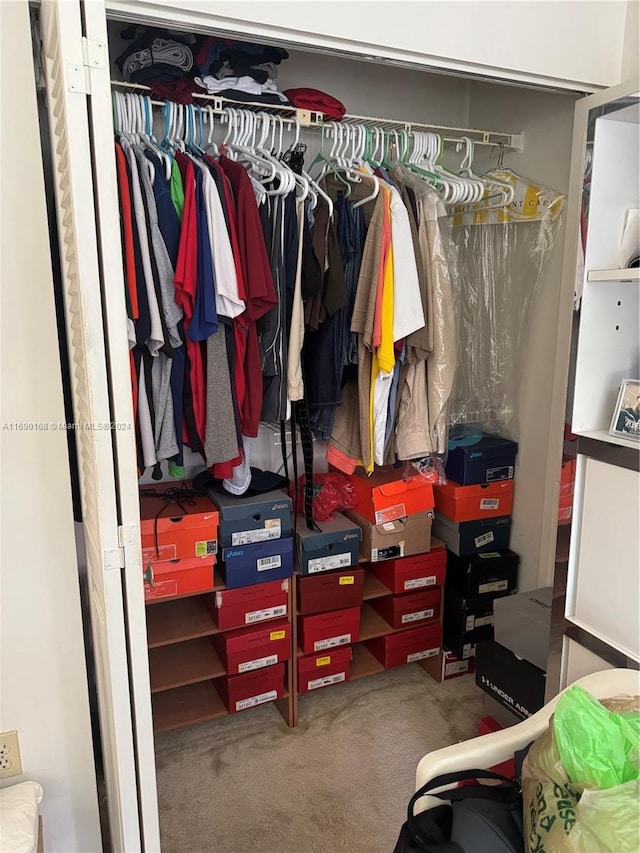 view of closet