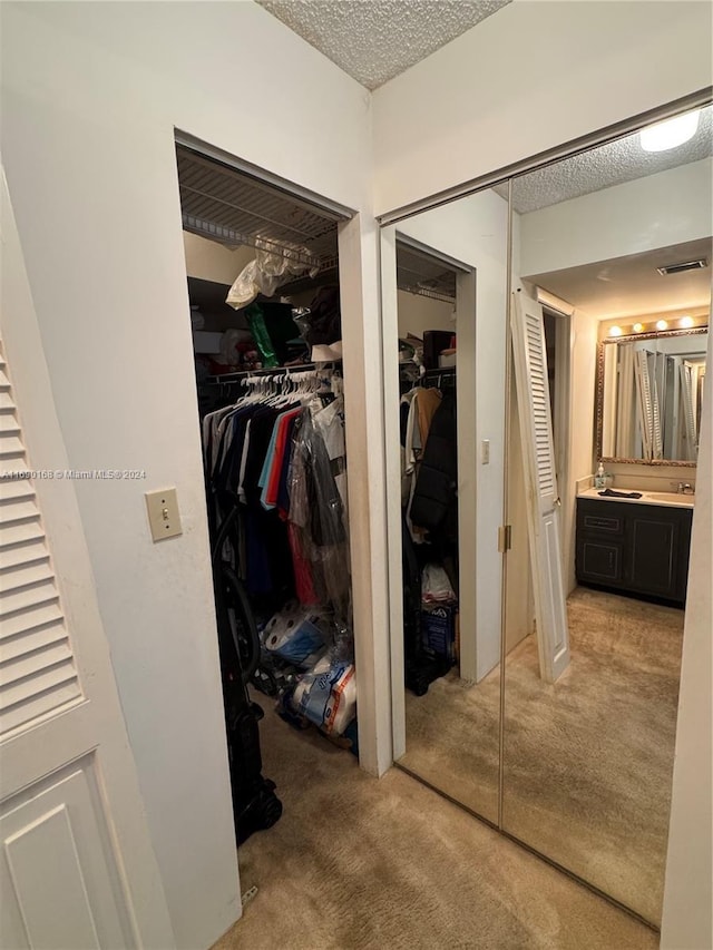 1100 Saint Charles Pl Unit 203, Pembroke Pines, FL 33026 - closet with a sink