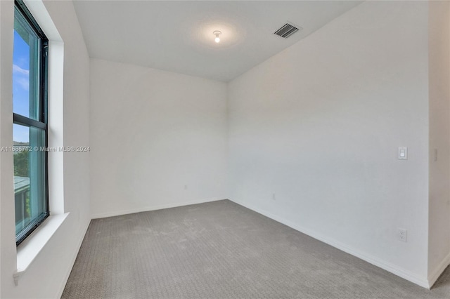 unfurnished room with a wealth of natural light and carpet flooring