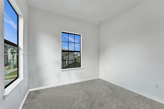 empty room featuring carpet