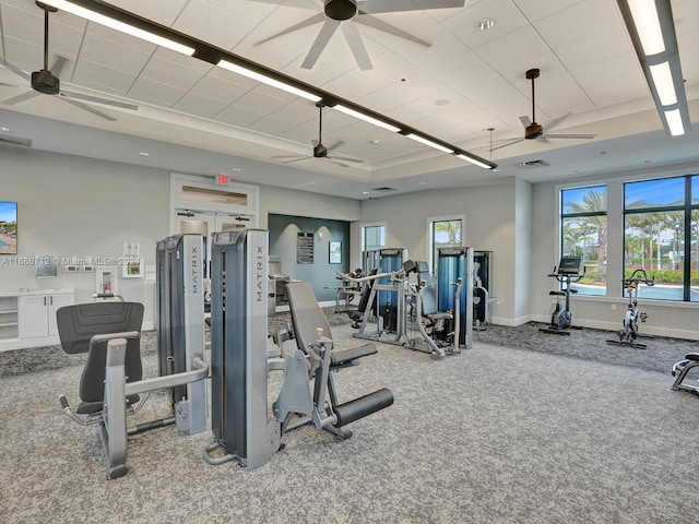 exercise room with carpet, ceiling fan, and a tray ceiling