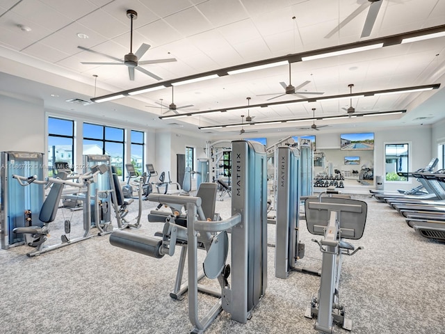 workout area featuring plenty of natural light and carpet floors