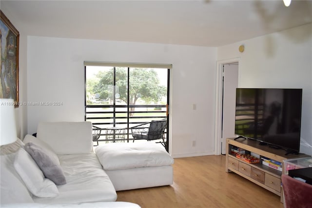 living room with light hardwood / wood-style floors