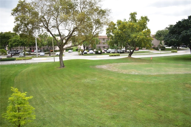 view of home's community with a yard