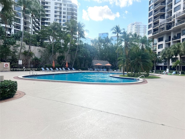 view of swimming pool with a patio area