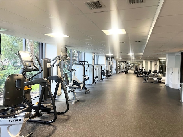 workout area with a wall of windows and a drop ceiling