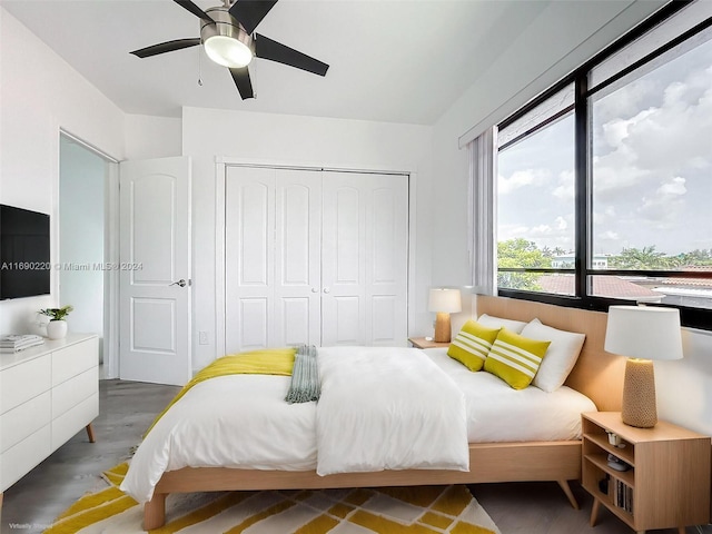 bedroom featuring a closet, ceiling fan, and dark hardwood / wood-style floors