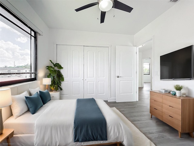 bedroom featuring dark wood-type flooring, ceiling fan, multiple windows, and a closet