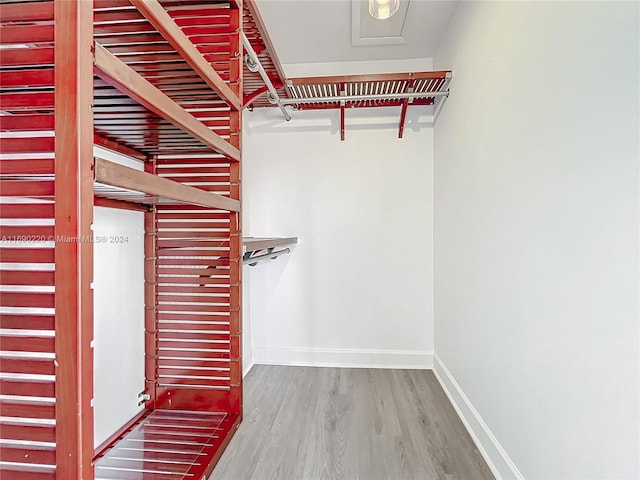 walk in closet featuring hardwood / wood-style floors