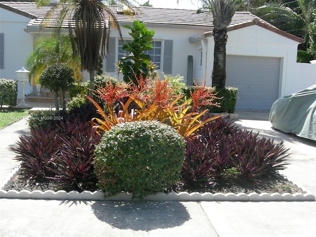 view of front facade with a garage