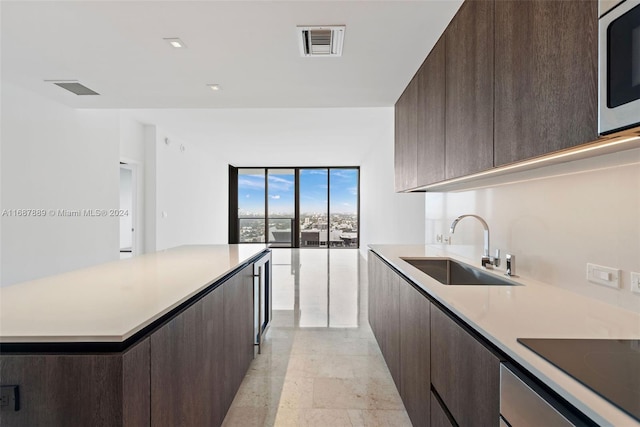 kitchen featuring black electric cooktop, sink, and dark brown cabinets