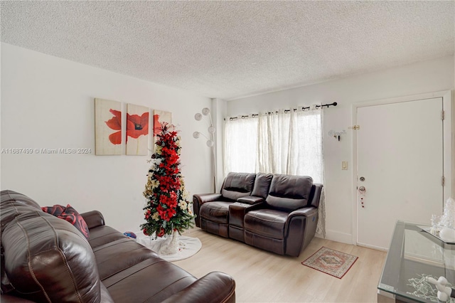 living room featuring a textured ceiling and light wood-type flooring