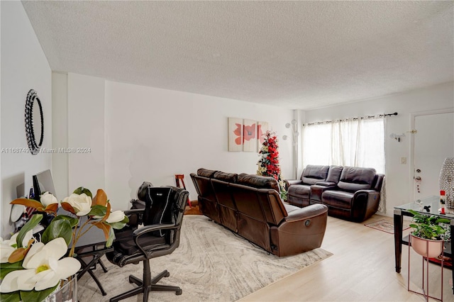 living room with a textured ceiling and light hardwood / wood-style flooring