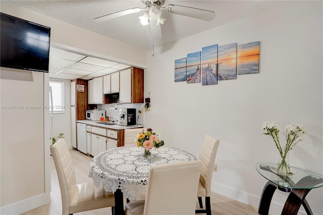 dining space with ceiling fan, sink, a textured ceiling, and light hardwood / wood-style flooring