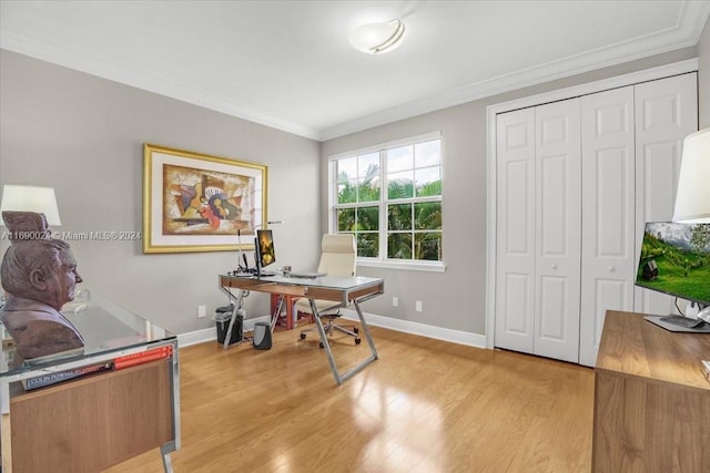 office with crown molding and light hardwood / wood-style flooring