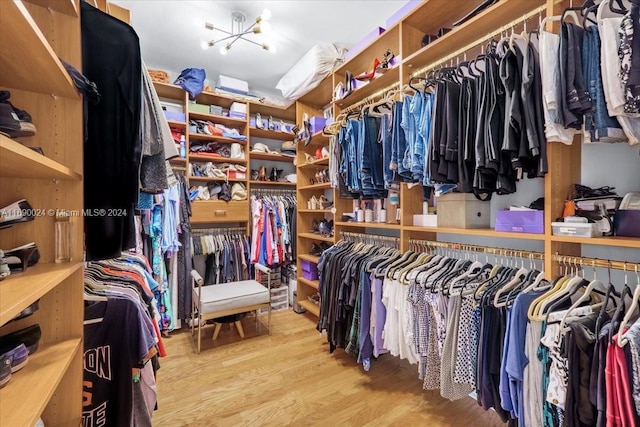 walk in closet featuring light hardwood / wood-style floors