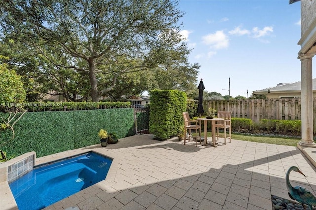 view of pool featuring a patio area