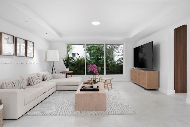 living room featuring a tray ceiling