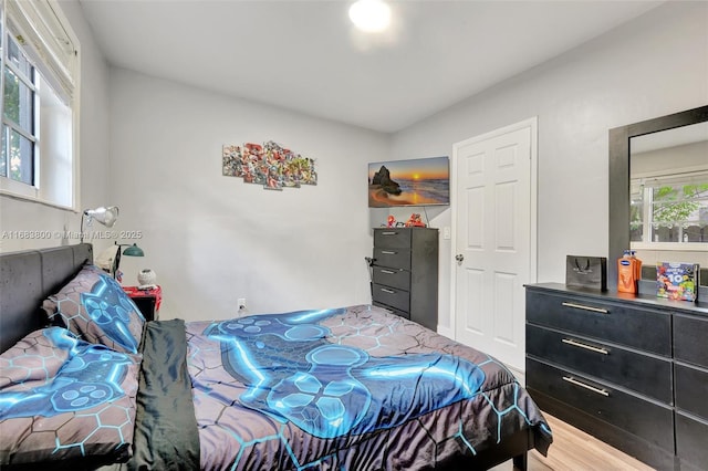 bedroom featuring hardwood / wood-style flooring