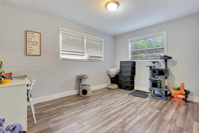 miscellaneous room featuring light hardwood / wood-style flooring