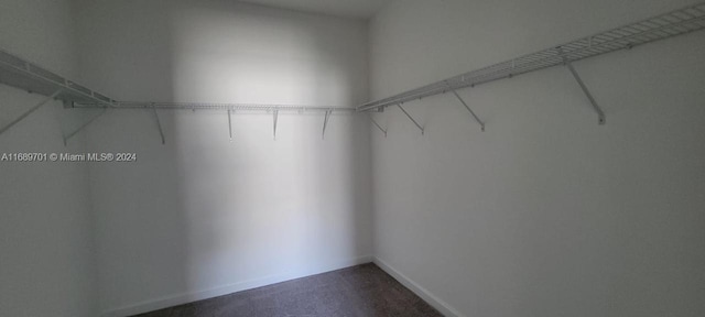 walk in closet with carpet floors