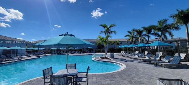 view of swimming pool with a patio