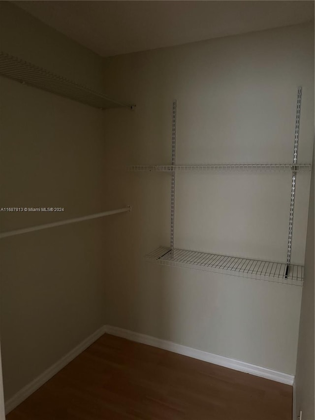 walk in closet with wood-type flooring