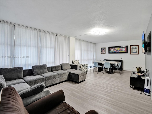 living room with a textured ceiling and light hardwood / wood-style flooring