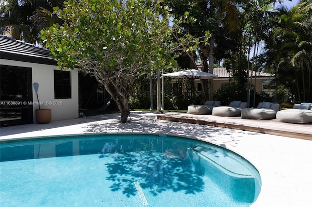 outdoor pool with a patio