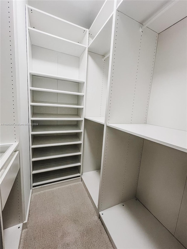 spacious closet with carpet flooring