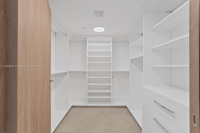 view of walk in closet