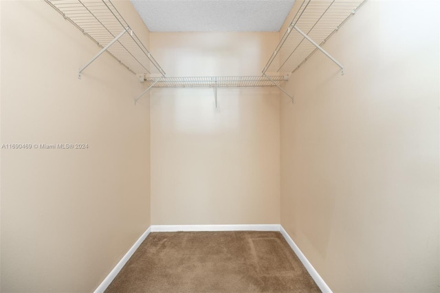 spacious closet featuring carpet