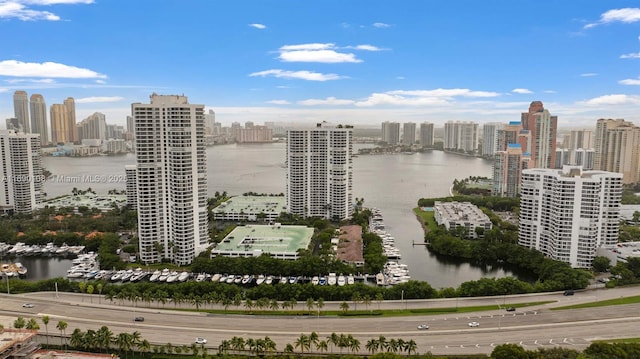 birds eye view of property featuring a view of city and a water view