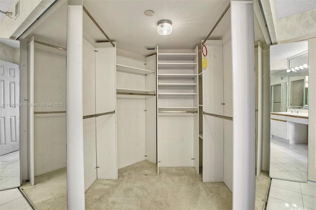 walk in closet with light carpet
