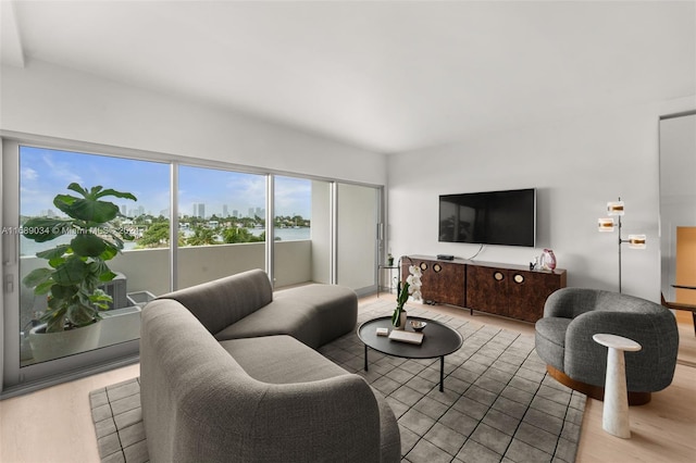 living room with light hardwood / wood-style flooring