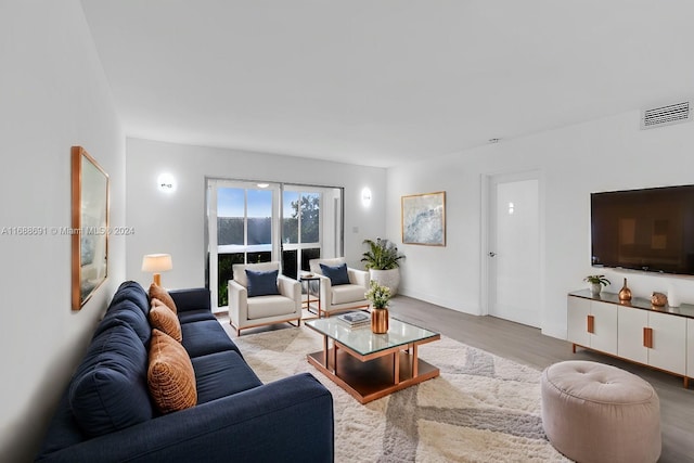 living room featuring light hardwood / wood-style flooring