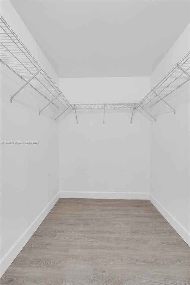 spacious closet featuring light hardwood / wood-style floors