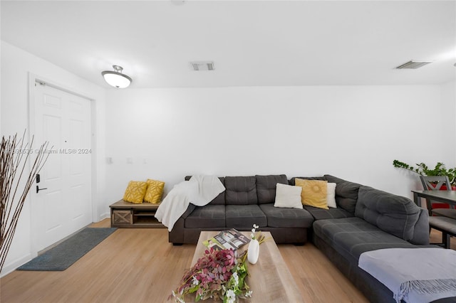 living room featuring light hardwood / wood-style floors