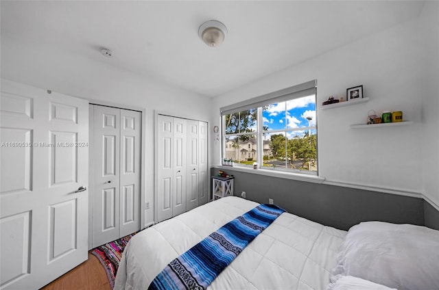 bedroom with hardwood / wood-style floors and two closets