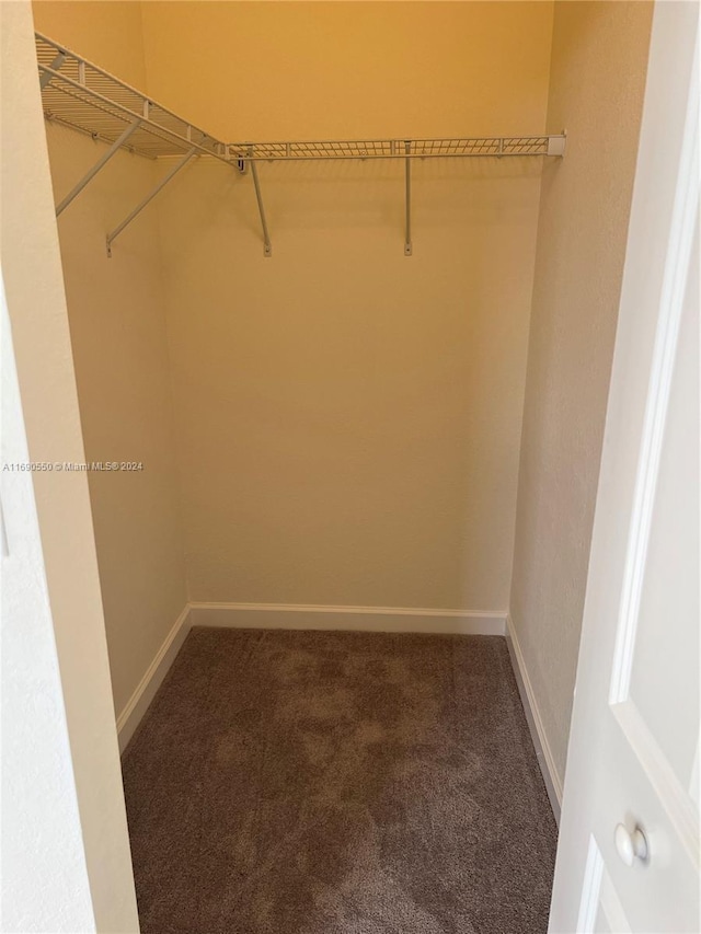 walk in closet featuring carpet