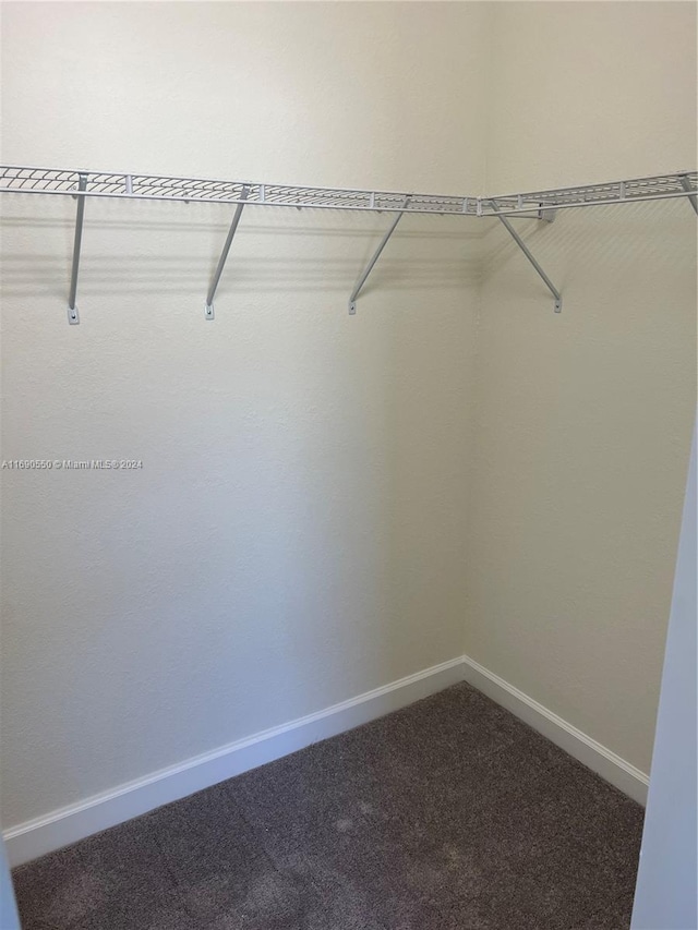 walk in closet featuring carpet floors