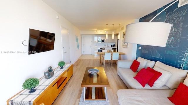 living room featuring light hardwood / wood-style flooring and sink