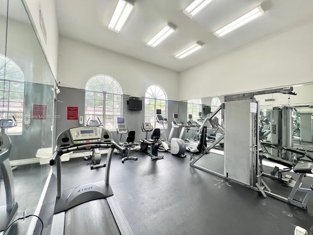 workout area with a high ceiling