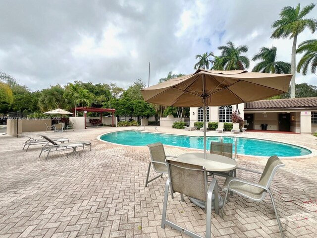 view of swimming pool with a patio