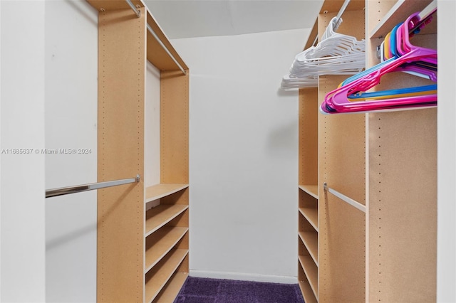 walk in closet featuring carpet flooring