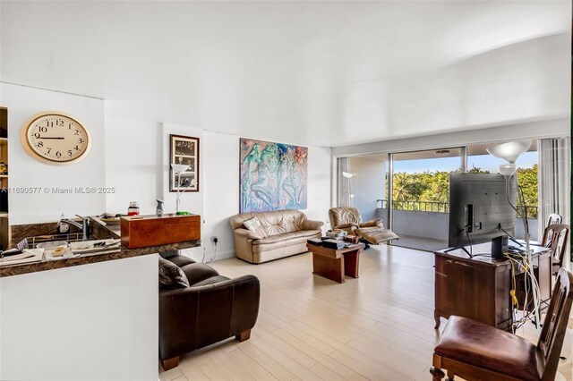 living room with light wood-type flooring